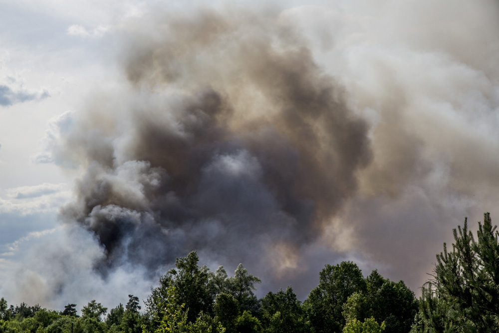 A forest fire rages in the Chernobyl nuclear exclusion zone