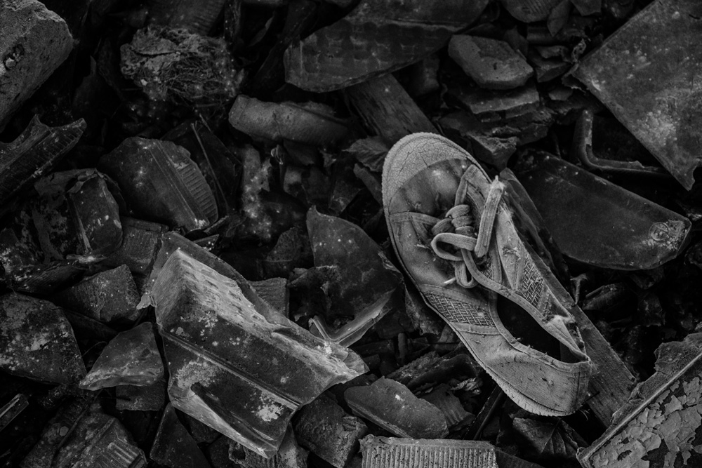 lost show in Chernobyl exclusion zone